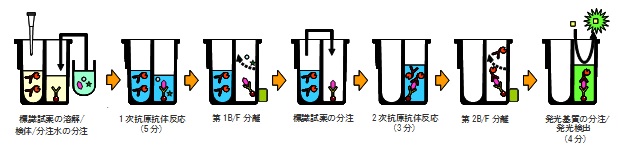 2ステップ原理図改2.jpg